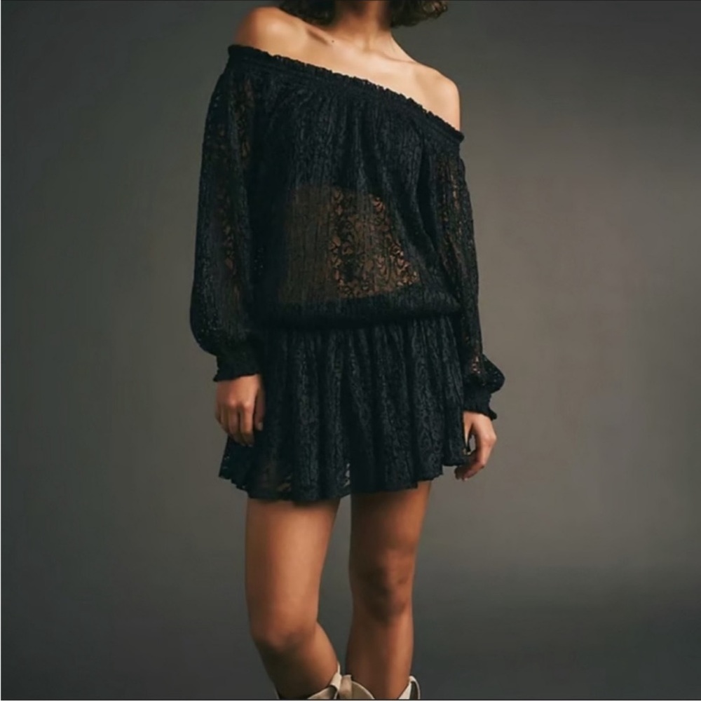 Free People Carina Meadow lace mini dress